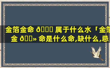 金箔金命 💐 属于什么水「金箔金 🌻 命是什么命,缺什么,忌什么」